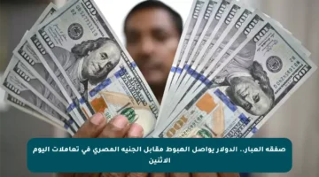 صفقة العبار.. الدولار يواصل الهبوط مقابل الجنيه المصري في تعاملات اليوم الإثنين